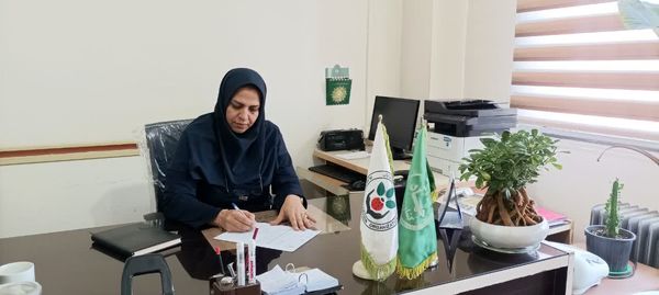 مبارزه با آفت سن غلات در بیش از 117 هزار هکتار از مزارع غلات 