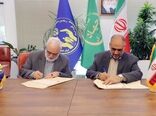 طرح ارتقای بهره‌وری دامداری کوچک مقیاس اجرا می‌شود