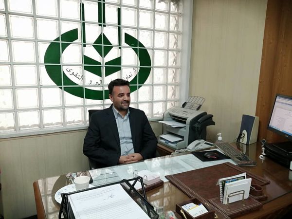 آغاز طرح سرشاخه کاری باغات گردو 
