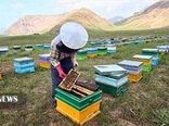 کاهش ۳۰ درصدی تولید عسل در لرستان