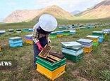 کاهش ۳۰ درصدی تولید عسل در لرستان