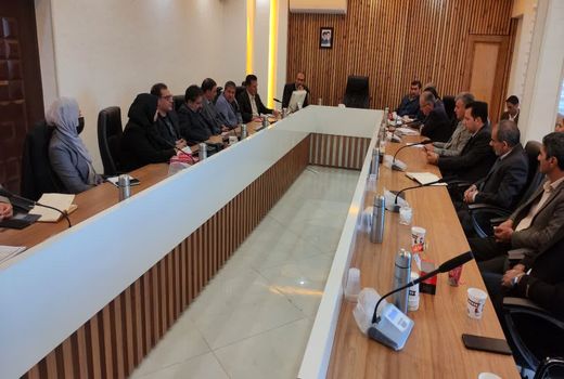 مشکل تأمین خوراک آماده برای مرغداران برطرف شد