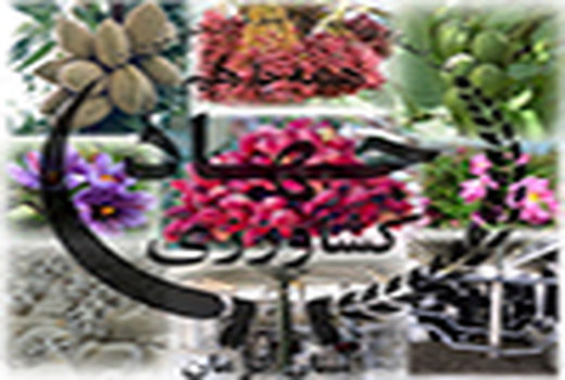 تمدید مجوزهای صادره سازمان جهاد کشاورزی استان کرمان