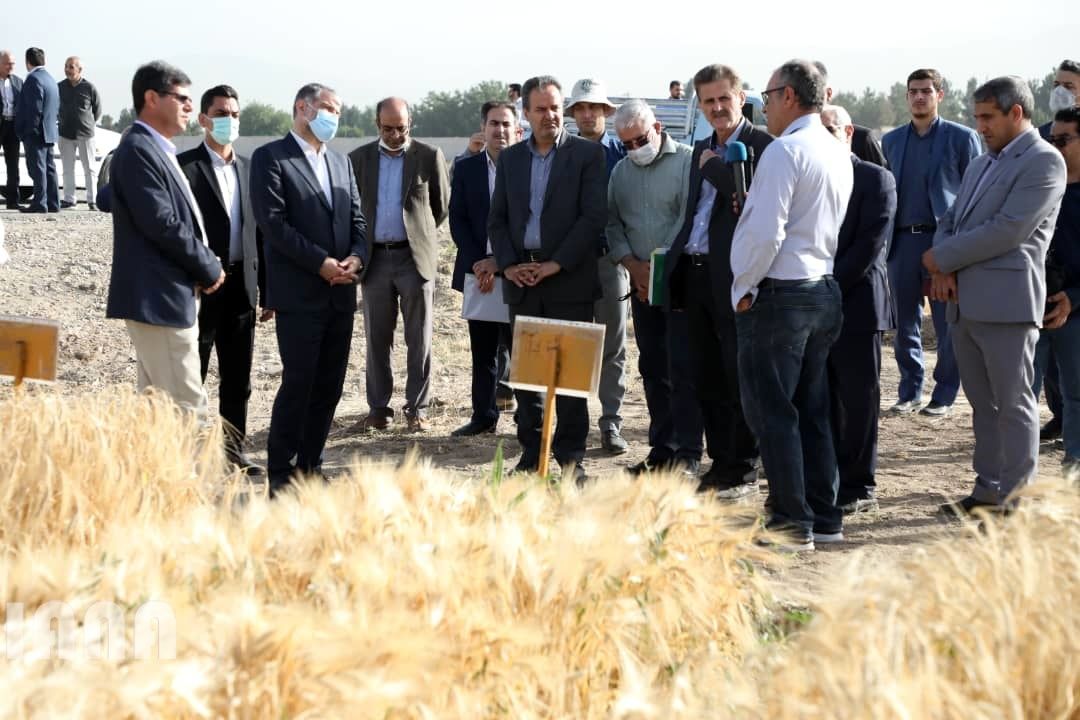 WhatsApp Image 2022-06-14 at 10.06.36 AM