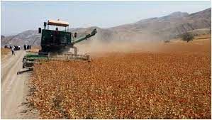 اجرای کشاورزی قراردادی گندم برای نخستین بار در خراسان شمالی