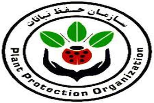 توزیع سم تقلبی پرایم پلاس EC125