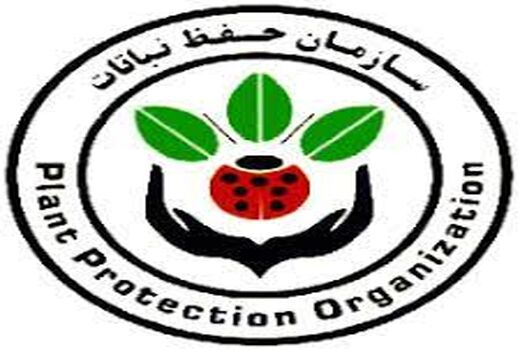 توزیع سم تقلبی پرایم پلاس EC125