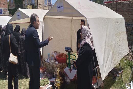 جشنواره گل محمدی مراغه؛ ویترینی برای معرفی ظرفیت‌های سرمایه‌گذاری استان