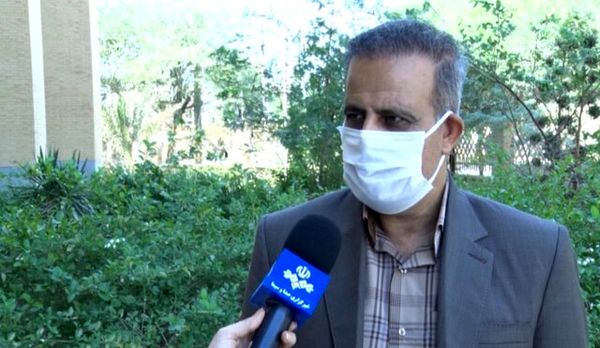 قیمت گوجه فرنگی کاهش مییابد