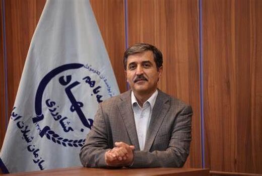 شیلات ایران دانش‌بنیان می‌شود/ لزوم جذب نیروی متخصص