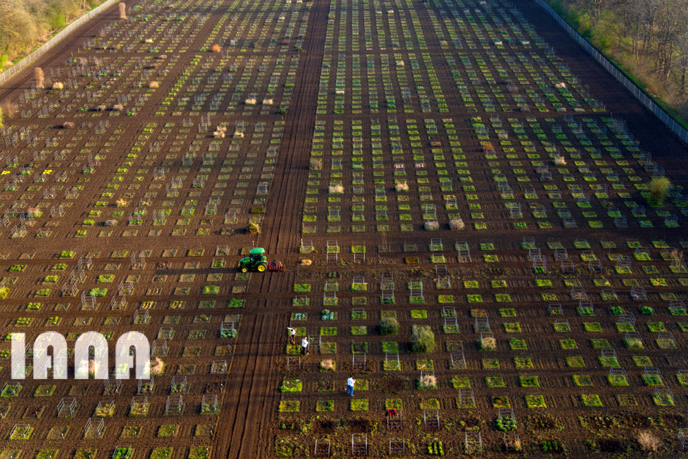 انقلاب غذا در اروپا