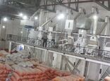 نرخ خشک و سفید کردن برنج در سطح استان توسط تنظیم بازار اعلام می‌شود