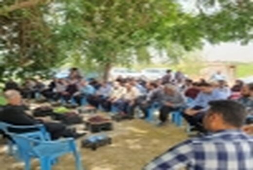 جشن برداشت انگور در گتوند