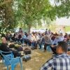 جشن برداشت انگور در گتوند