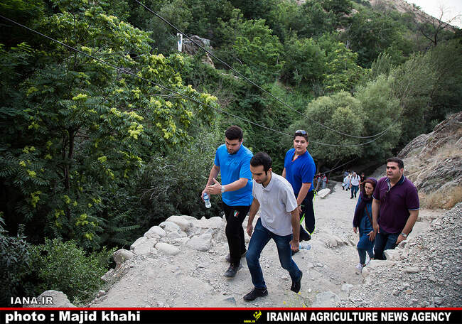 کوه پیمایی