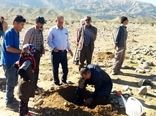 20 هکتار از منابع طبیعی قیروکارزین احیا شد