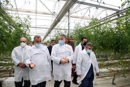 بازدید وزیر جهاد کشاورزی از مجتمع گلخانه ای سبزی و صیفی دشت ناز در میاندرود