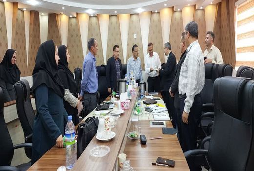 اتمام رفع تداخلات در شهرستان‌های دیلم، جم و دیر/ ۱۱۸ پلاک تعیین تکلیف شد