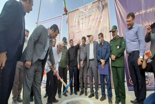 آغاز اجرای طرح توسعه ۴ هزار قطعه‌ای مجتمع صنعتی پرورش شتر مرغ تنگستان