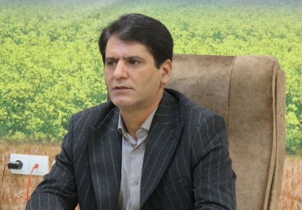افزایش کارایی مصرف آب؛ با چینش کاشت جدید در سیب‌زمینی