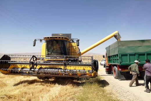 برداشت جو از مزارع شهرستان فسا آغاز شد