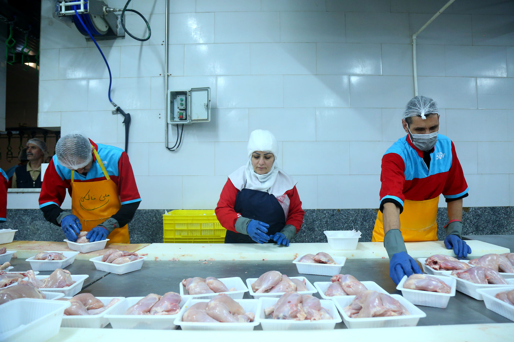 تور رسانه ای به مناسبت هفته دامپزشکی 