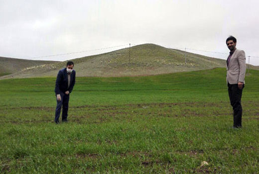 توزیع 4800  تن کود سرک بهاره در بین کشاورزان شهرستان هشترود