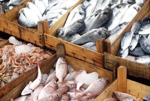 شیلات بوشهر در مسیر تبدیل به قطب ملی تولید و صادرات آبزیان پرورشی