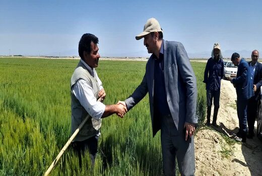 بازدید از پروژه 530 هکتار از مزارع کشاورزان روستای اشکهران اصفهان