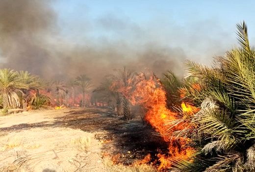 80 هزار هکتار عرصه های منابع طبیعی مهدیشهر در شرایط بحرانی خطر آتش‌سوزی قرار دارد