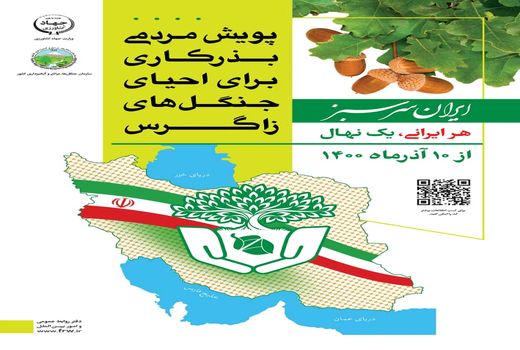 پوشش مردمی بذرکاری برای احیای جنگل‌های زاگرس