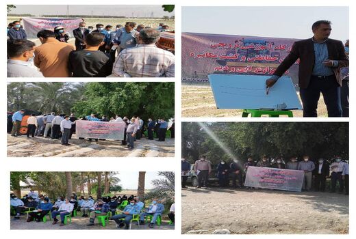 برگزاری کارگاه آموزشی کشت مکانیزه غلات