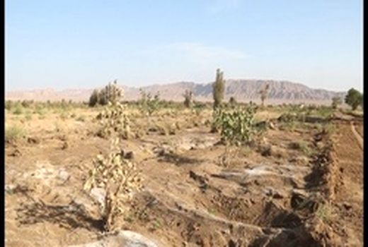 خسارت یک میلیارد تومانی سیلاب به بخش کشاورزی