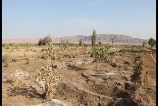 خسارت یک میلیارد تومانی سیلاب به بخش کشاورزی