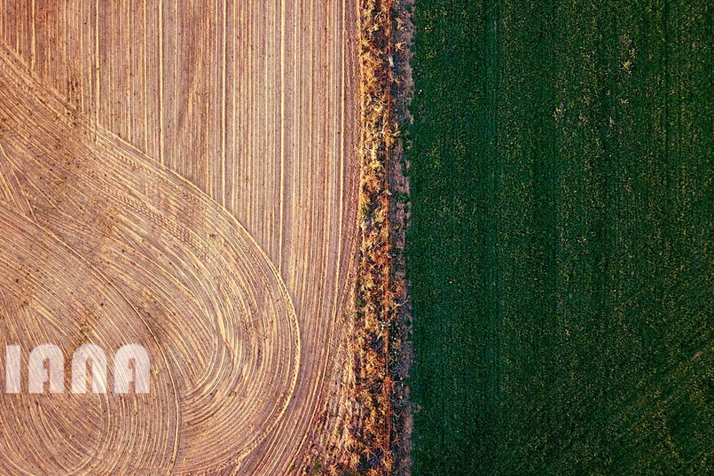 سرطان زمین‌های کشاورزی