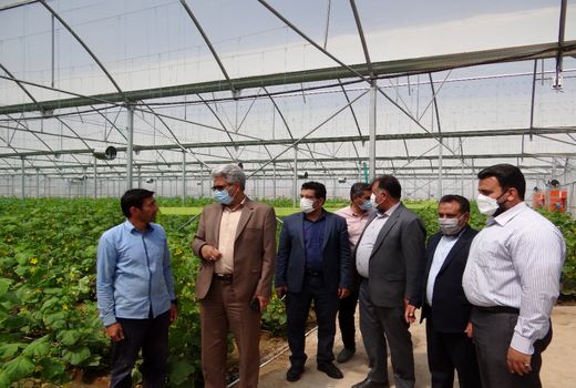 آغاز عملیات اجرایی تقویت و توسعه برق مجتمع گلخانه‌ای شهرستان درمیان