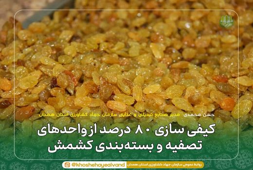 کیفی سازی ۸۰ درصد از واحدهای تصفیه و بسته‌بندی کشمش