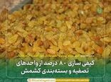 کیفی سازی ۸۰ درصد از واحدهای تصفیه و بسته‌بندی کشمش