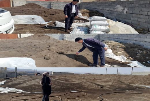  تولید سالیانه بیش از یک هزار تن ورمی کمپوست در شهرستان اهر