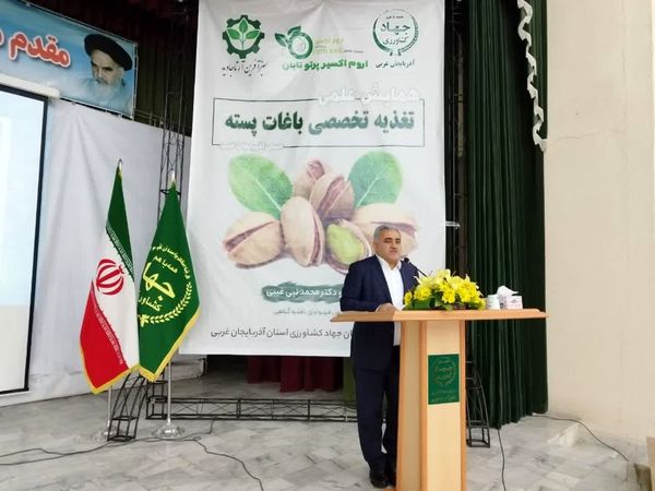 توسعه کاشت پسته راهکاری مناسب برای اصلاح الگوی کشت درحاشیه دریاچه ارومیه 