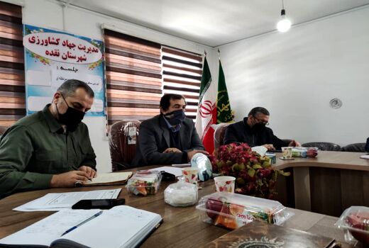 زمینه صادرات سیب از آذربایجان غربی تسهیل شود