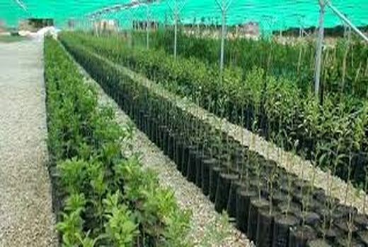 ارتقاء سطح علمی و توانمندسازی بهره‌برداران در دزفول