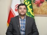  ۹ هزار و ۳۷۳ بازرسی در بازار و نانوایی‌ها/ ارسال یک هزار و ۴۶۱ پرونده تخلف به تعزیرات حکومتی