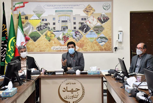 کشاورزی قراردادی می تواند برنامه ریزی برای تولید را منسجم و دقیق تر کند