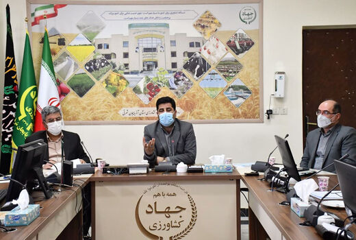 کشاورزی قراردادی می تواند برنامه ریزی برای تولید را منسجم و دقیق تر کند