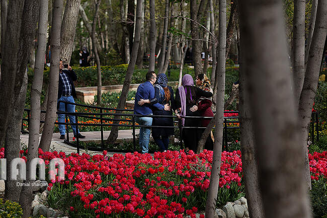 گردشگران در باغ گل ایرانی