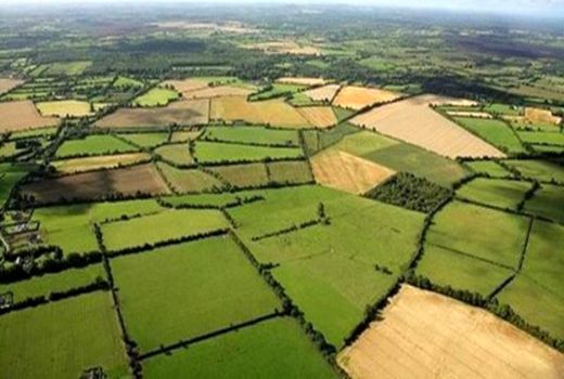 طرح سیستم یکپارچه‌سازی اطلاعات کشاورزی (سیاک) در استان قزوین اجرا می‌شود