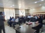 تجمیع و یکپارچه‌سازی اراضی راهبردی برای جهش تولید در کشاورزی بوشهر