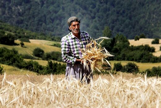 مشارکت بیش از ۱۱۴ هزار فعال کشاورزی در بزرگ‌ترین فرایند ملی ترویج دانش و فناوری