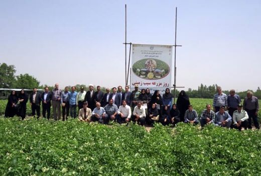  مراسم روز مزرعه سیب زمینی در عجب شیر برگزار شد